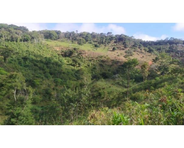 Foto de RIO VERMELHO/MG TERRENO COM ÁREA DE 07,86 HA 