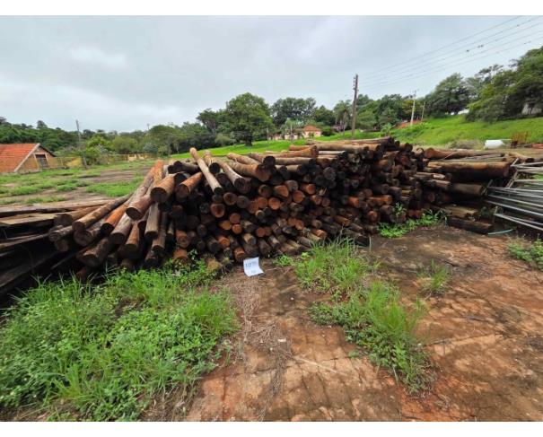 Foto de LONDRINA/PR - MOURÕES DIVERSOS EM EUCALIPTUS TRATADO MAIS TÁBUAS DE MANGUEIRA