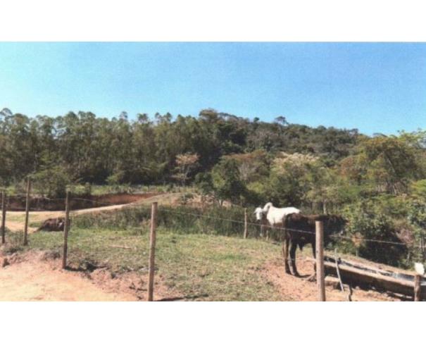Foto de VIRGINOPOLIS/MG - FRAÇÃO DE 38,88% DA FAZENDA SÃO LUIZ SITUADA NO CÓRREGO MEXERICO