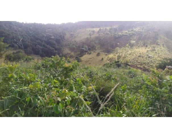 Foto de RIO VERMELHO/MG TERRENO COM ÁREA DE 07,86 HA 