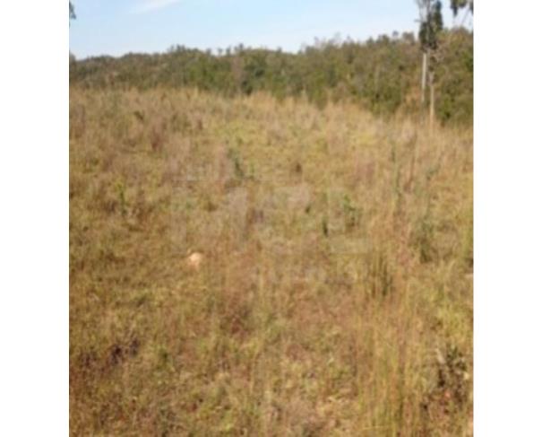 Foto de UNAÍ/MG GLEBA DE TERRAS NA FAZENDA BOA VISTA COM ÁREA DE 4,58,85HA