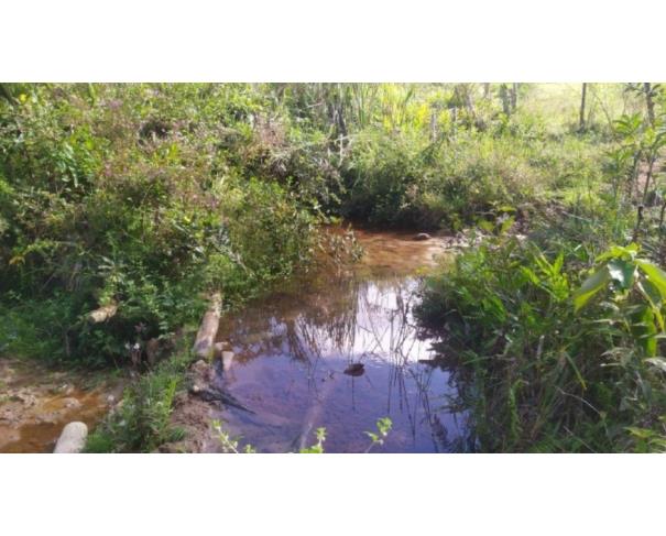 Foto de RIO VERMELHO/MG TERRENO COM ÁREA DE 17,51,59HA 