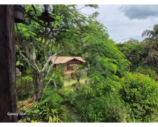 Foto de LEOPOLDINA/MG — Fazenda com 46.15.70 hectares na Fazenda São Sebastião