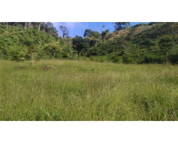 Foto de RIO VERMELHO/MG TERRENO COM ÁREA DE 07,86 HA 