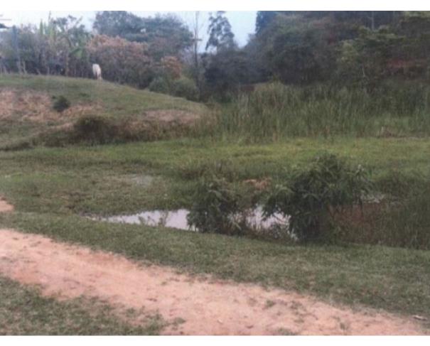 Foto de VIRGINOPOLIS/MG - FRAÇÃO DE 38,88% DA FAZENDA SÃO LUIZ SITUADA NO CÓRREGO MEXERICO