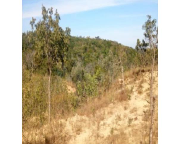 Foto de UNAÍ/MG GLEBA DE TERRAS NA FAZENDA BOA VISTA COM ÁREA DE 4,58,85HA