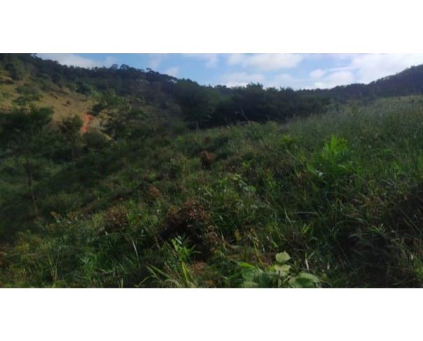 Foto de RIO VERMELHO/MG TERRENO COM ÁREA DE 07,86 HA 