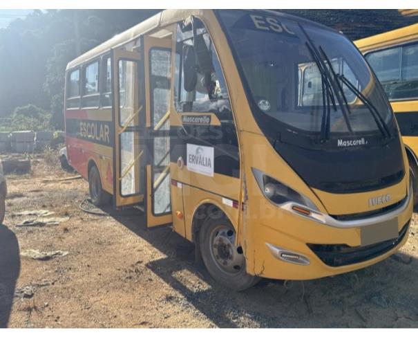 Foto de ERVÁLIA/MG- Iveco Wayclass 70C17 HDE, 2016/2016