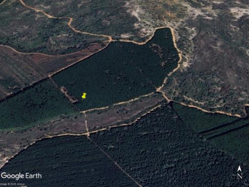 FRANCISCO DUMONT/MG — Fazenda com 100.50.00 hectares com pés de eucalipto